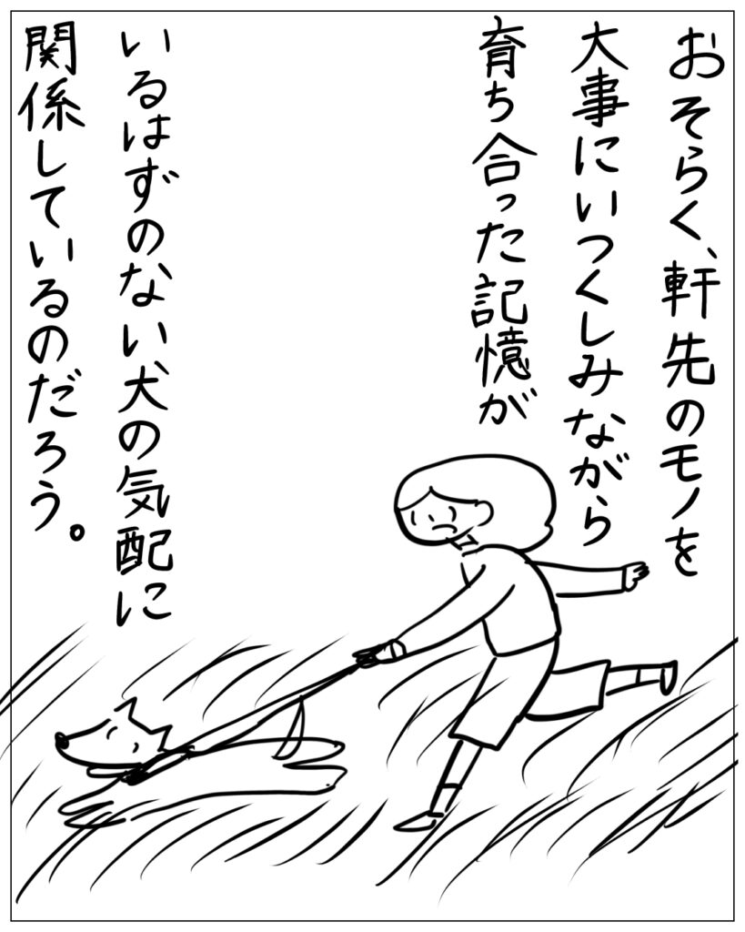 おそらく、軒先のモノを大事にいつくしみながら育ち合った記憶がいるはずのない犬の気配に関係しているのだろう。