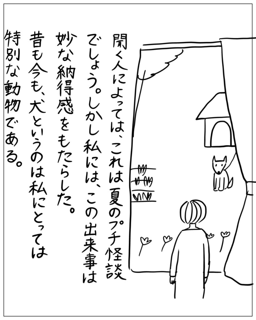 聞く人によっては、これは夏のプチ怪談でしょう。しかし私には、この出来事は妙な納得感をもたらした。昔も今も、犬というのは私にとっては特別な動物である。