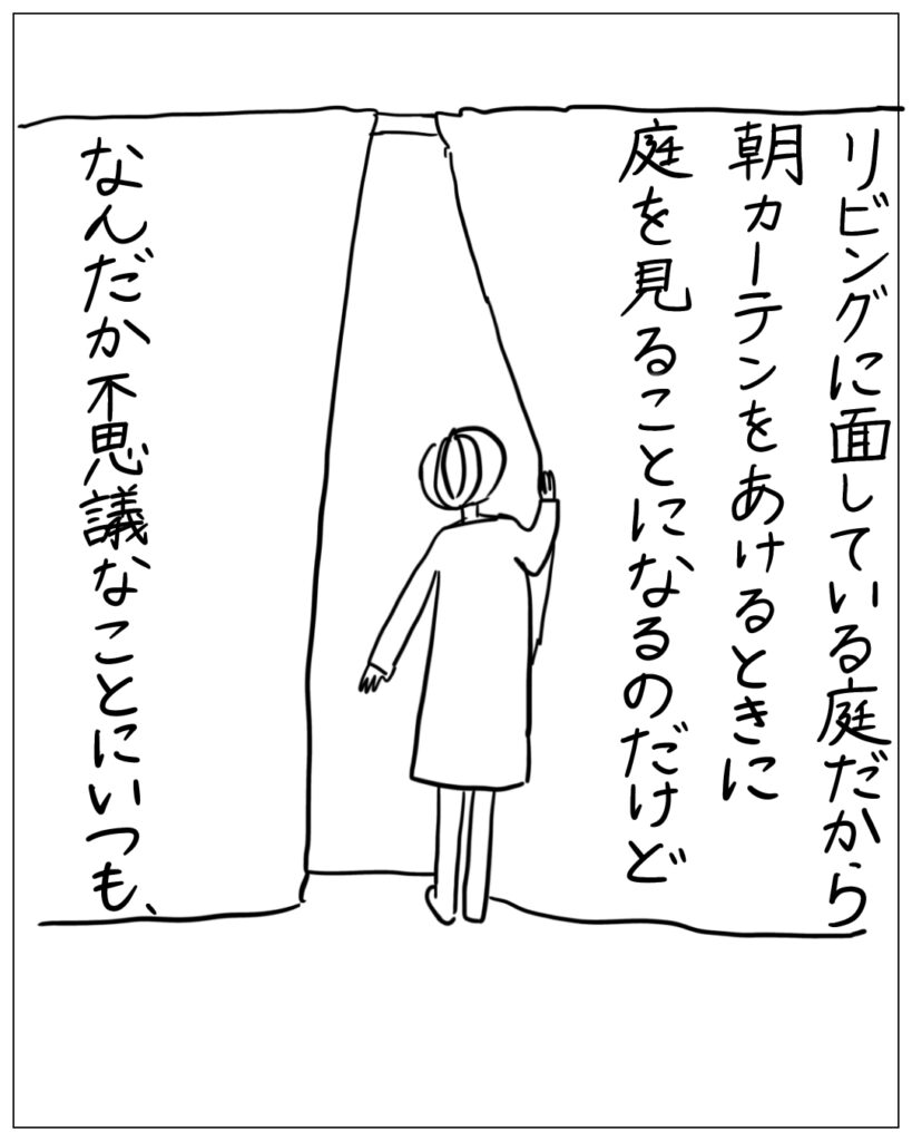 リビングに面している庭だから朝カーテンをあけるときに庭を見ることになるのだけどなんだか不思議なことにいつも