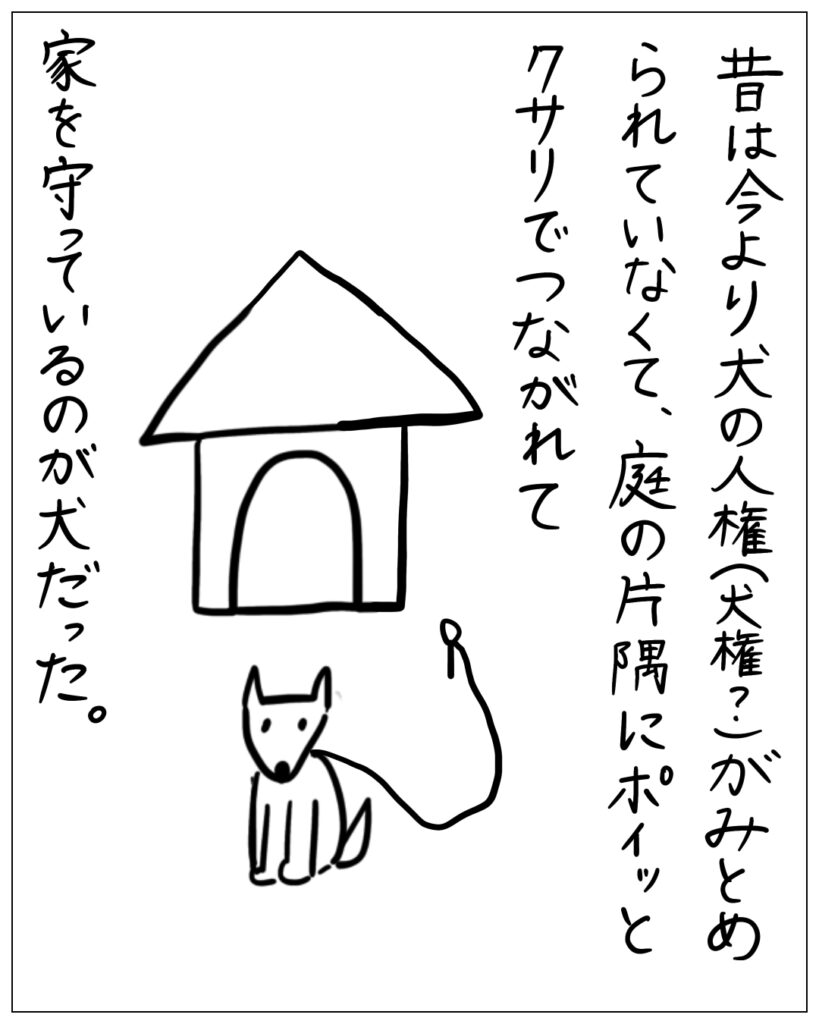 昔は今より犬の人権（犬権？）がみとめられていなくて、庭の片隅にポイッとクサリでつながれて家を守っているのが犬だった。