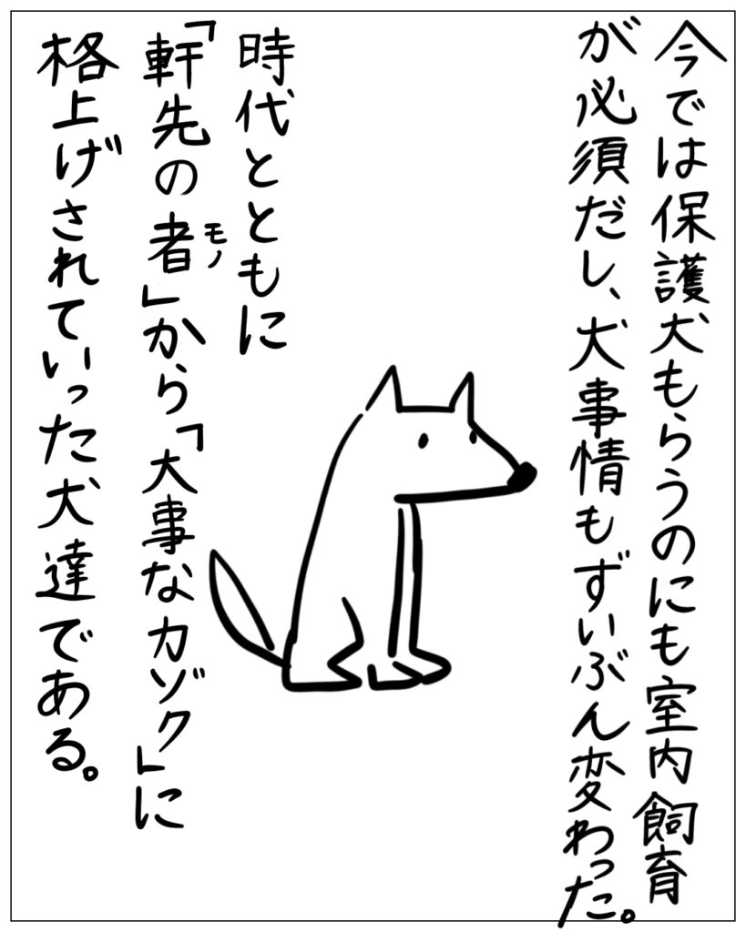 今では保護犬もらうのにも室内飼育が必須だし、犬事情もずいぶん変わった。時代とともに「軒先の者」から「大事なカゾク」に格上げされていった犬達である。