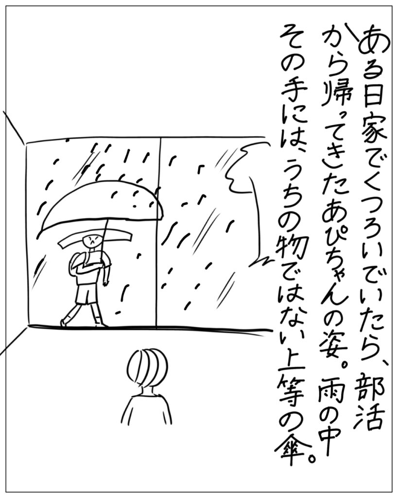 ある日家でくつろいでいたら、部活から帰ってきたあぴちゃんの姿。雨の中その手には、うちの物ではない上等の傘。