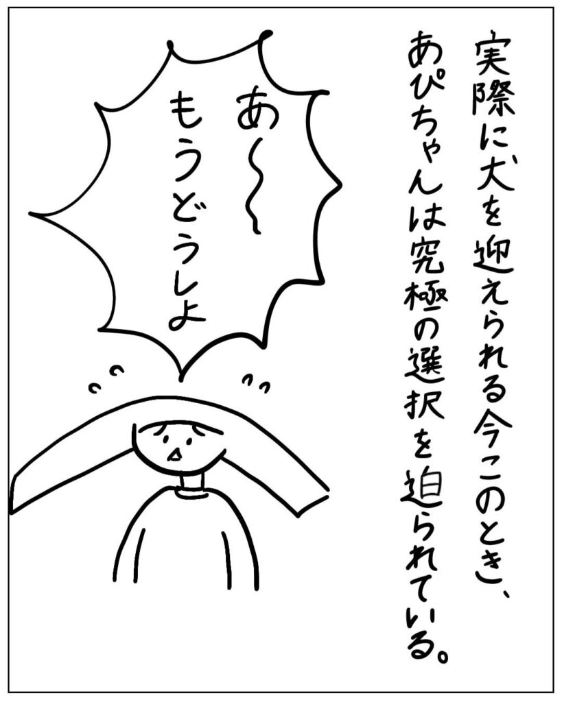 実際に犬を迎えられる今このとき、あぴちゃんは究極の選択を迫られている。 あ～もうどうしよ