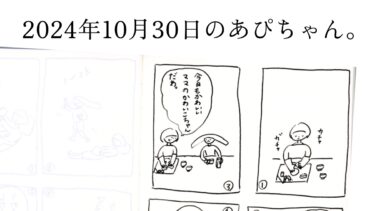 2024年10月30日のあぴちゃん