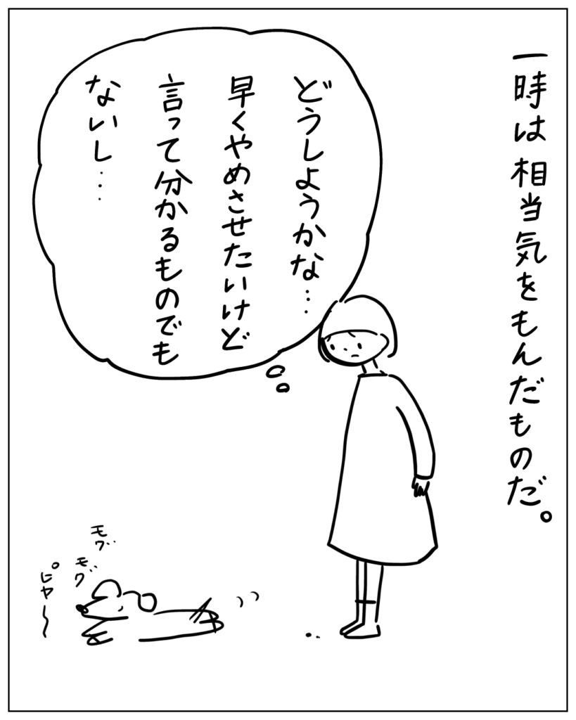 一時は相当気をもんだものだ。どうしようかな･･･早くやめさせたいけど言って分かるものでもないし･･･