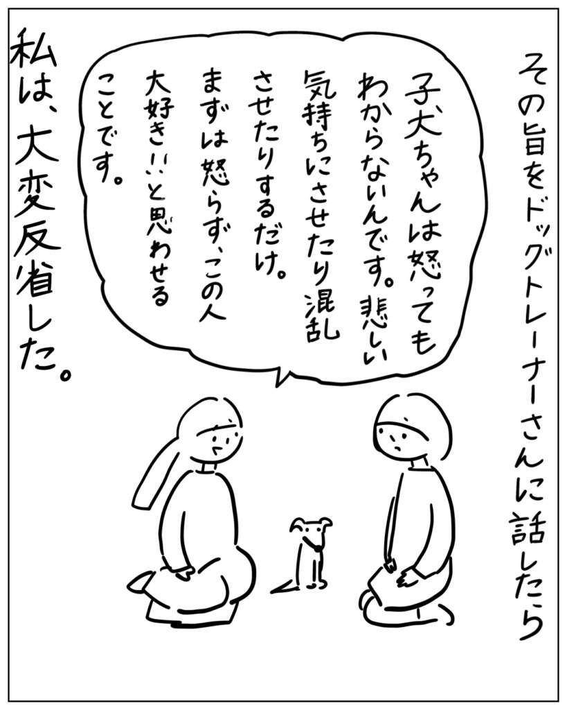 その旨をドッグトレーナーさんに話したら、「子犬ちゃんは怒ってもわからないんです。悲しい気持ちにさせたり混乱させたりするだけ。まずは怒らず、この人大好き！！と思わせることです。」私は、大変反省した。