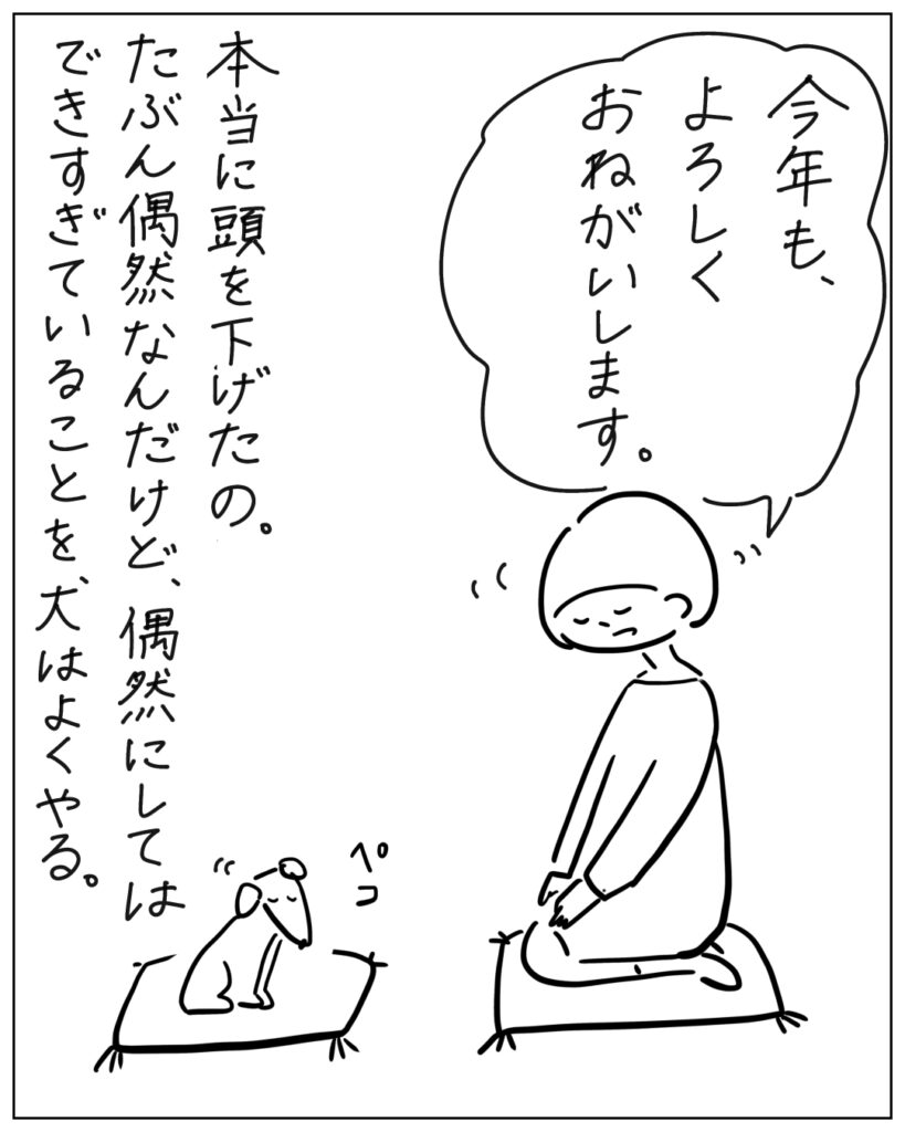 今年も、よろしくお願いします。 本当に頭を下げたの。たぶん偶然なんだけど、偶然にしてはできすぎていることを犬はよくやる。