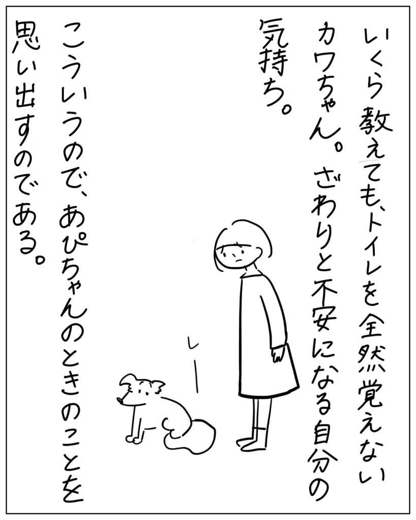 いくら教えても、トイレを全然覚えないカワちゃん。ざわりと不安になる自分の気持ち。こういうので、あぴちゃんのときのことを思い出すのである。