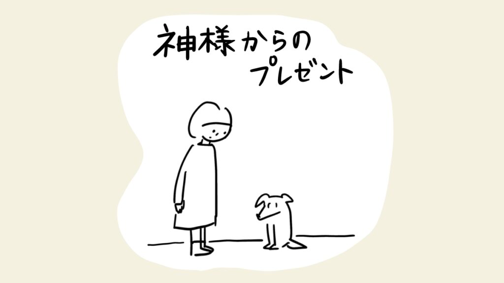 神様からのプレゼント