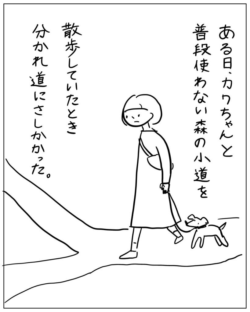 ある日、カワちゃんと普段使わない森の小道を散歩していたとき分かれ道にさしかかった。