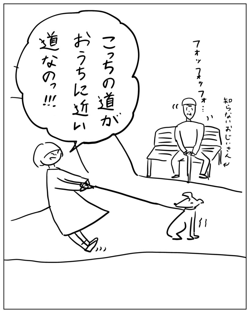 こっちの道がおうちに近い道なのっ!!