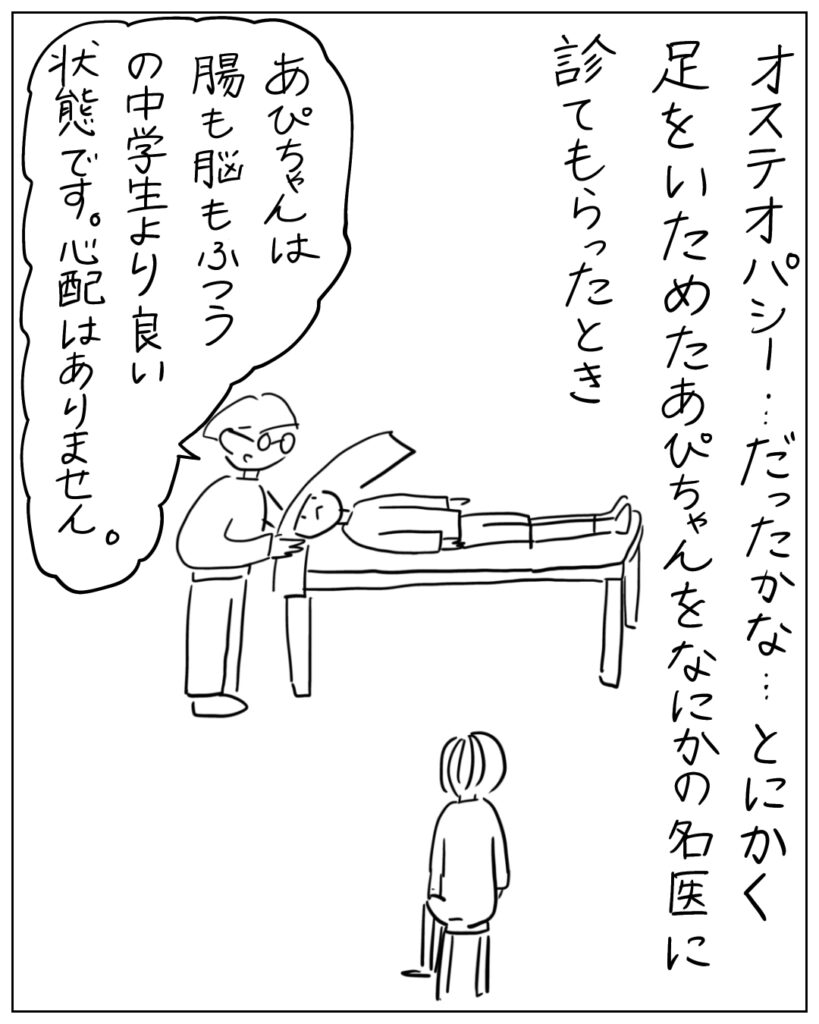 オステオパシー・・・だったかな・・・とにかく足をいためたあぴちゃんをなにかの名医に診てもらったとき あぴちゃんは腸も脳もふううの中学生より良い状態です。心配はありません。