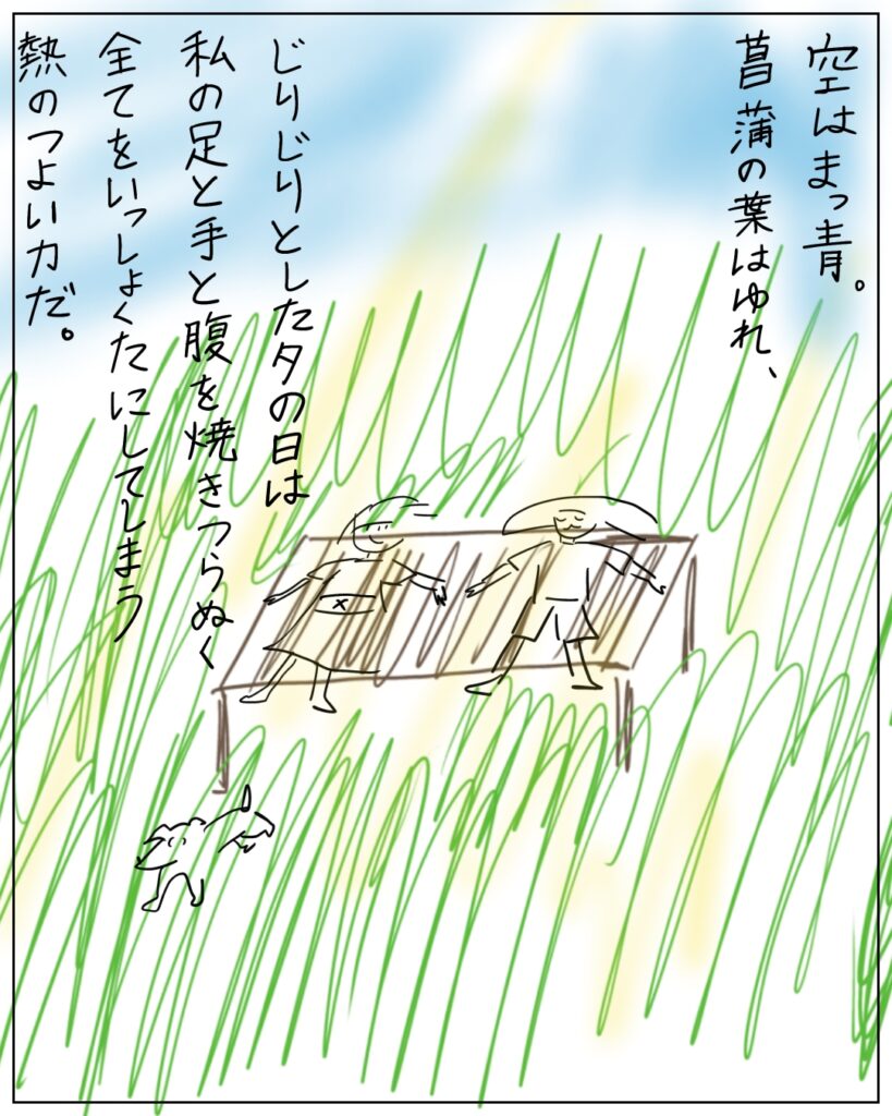 空は真っ青。菖蒲の葉はゆれ、じりじりとして夕の日は私の足と手と腹を焼きつらぬく全てをいっしょくたにしてしまう熱のつよい力だ。