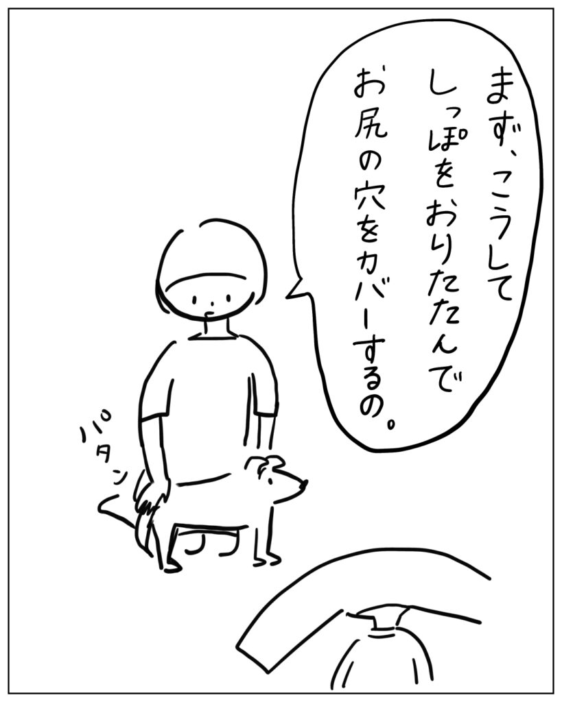まず、こうしてしっぽをおりたたんでお尻の穴をカバーするの。