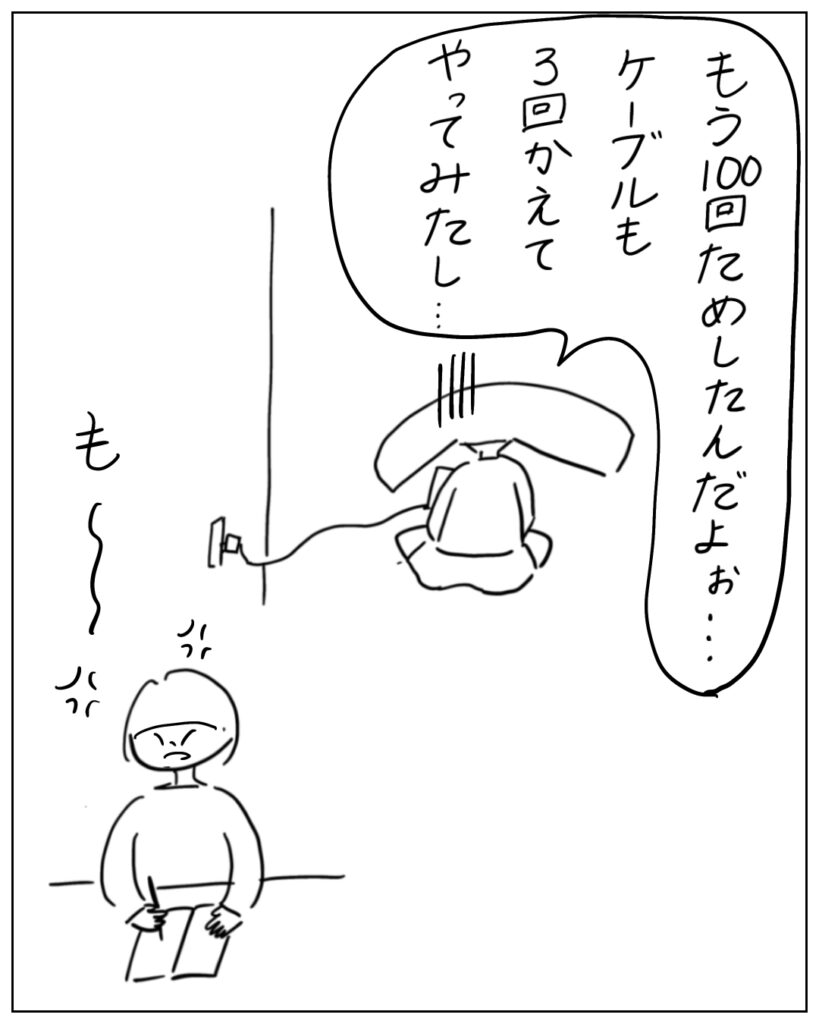 もう100回ためしたんだよぉ･･･ケーブルも3回かえてやってみたし･･･ も～