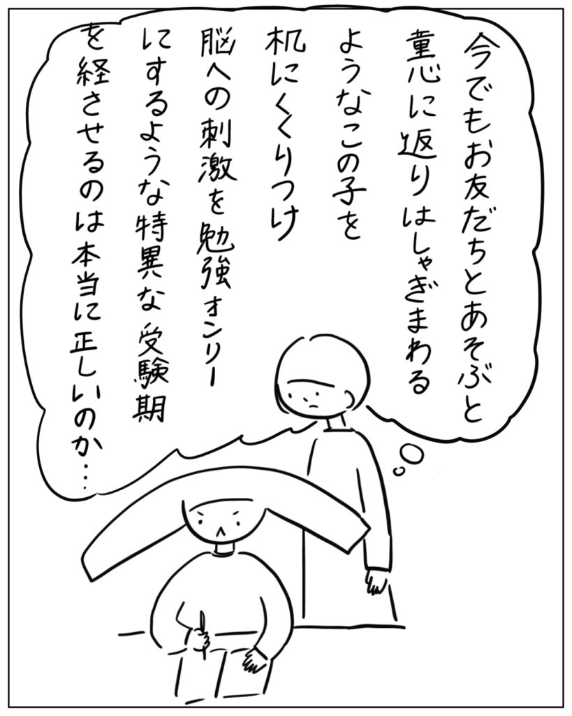 今でもお友だちとあそぶと童心に返りはしゃぎまわるようなこの子を机にくくりつけ脳への刺激を勉強オンリーにするような特異な受験期を経させるのは本当に正しいのか･･･