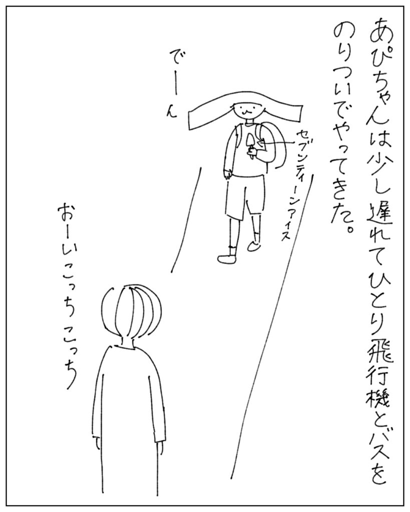 あぴちゃんは少し遅れてひとり飛行機とパスをのりついでやってきた。