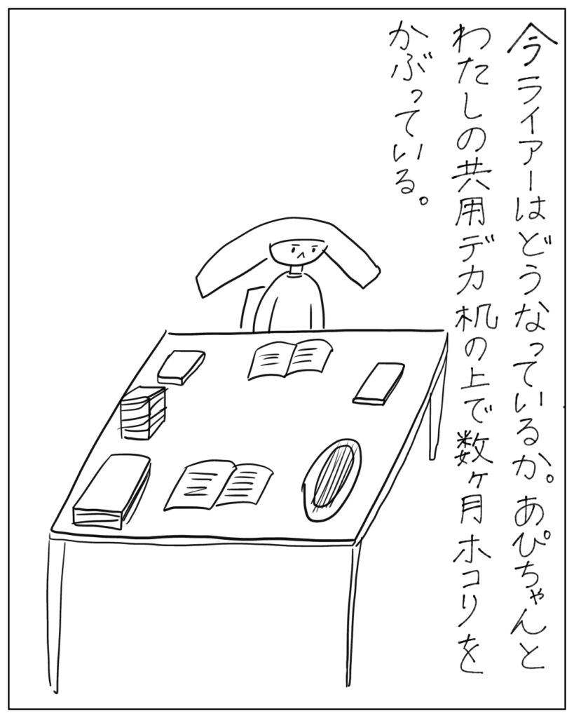今ライアーはどうなっているか。あぴちゃんとわたしの共用デカ机の上で数ヶ月ホコリをかぶっている。