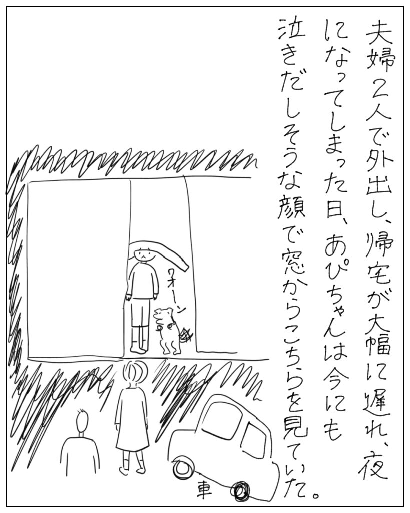 夫婦2人で外出し、帰宅が大幅に遅れ、夜になってしまった日、あぴちゃんは今にも泣き出しそうな顔で窓からこちらを見ていた。