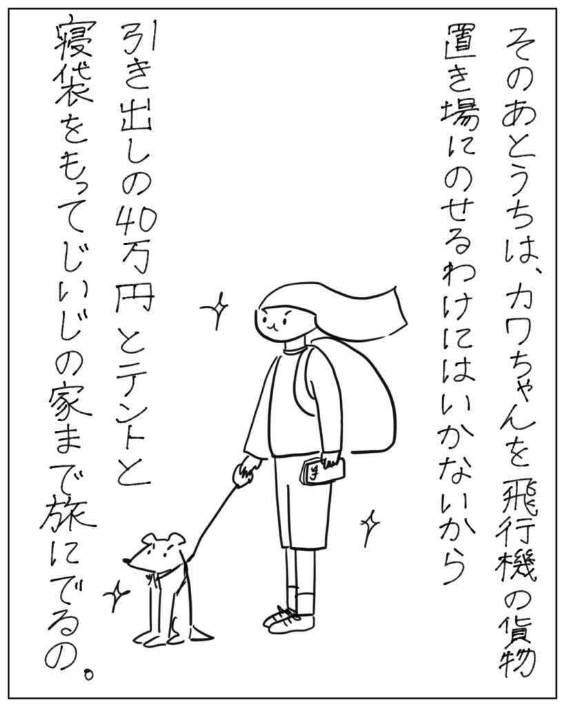 そのあとうちは、カワちゃんを飛行機の貨物置き場にのせるわけにはいかないから、引き出しの40万円とテントと寝袋をもってじいじの家まで旅にでるの。