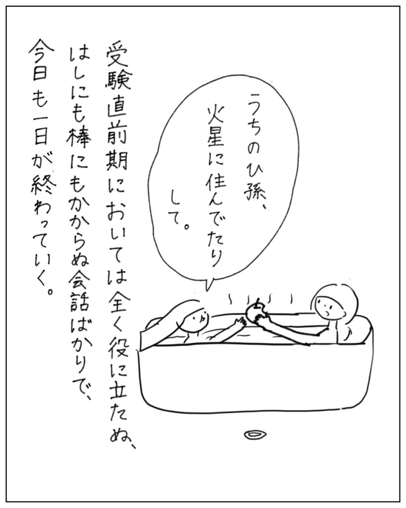 うちのひ孫、火星に住んでたりして。 受験直前期においては全く役に立たぬ、はしにも棒にもかからぬ会話ばかりで、今日も一日が終わっていく。