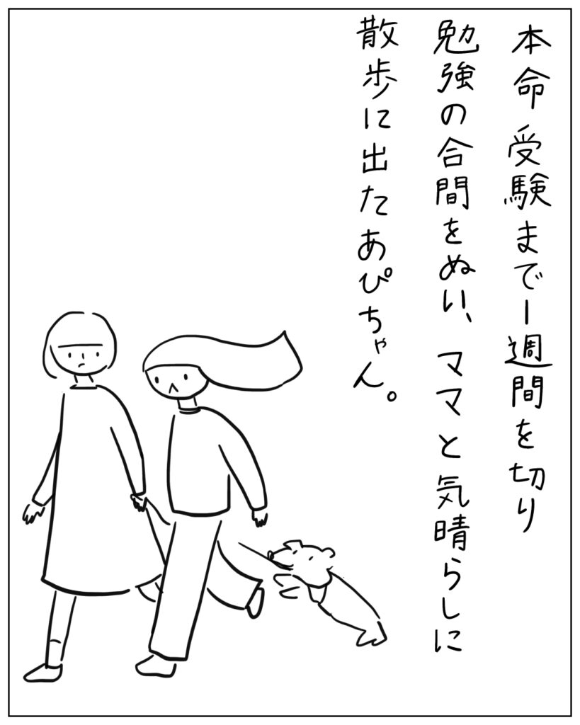 本命受験まで1週間を切り勉強の合間をぬい、ママと気晴らしに散歩に出たあぴちゃん。