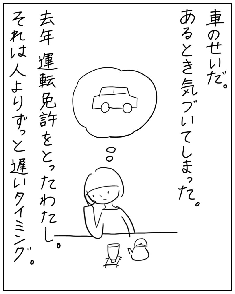 車のせいだ。あるとき気付いてしまった。去年運転免許をとったわたし。それは人よりずっと遅いタイミング。