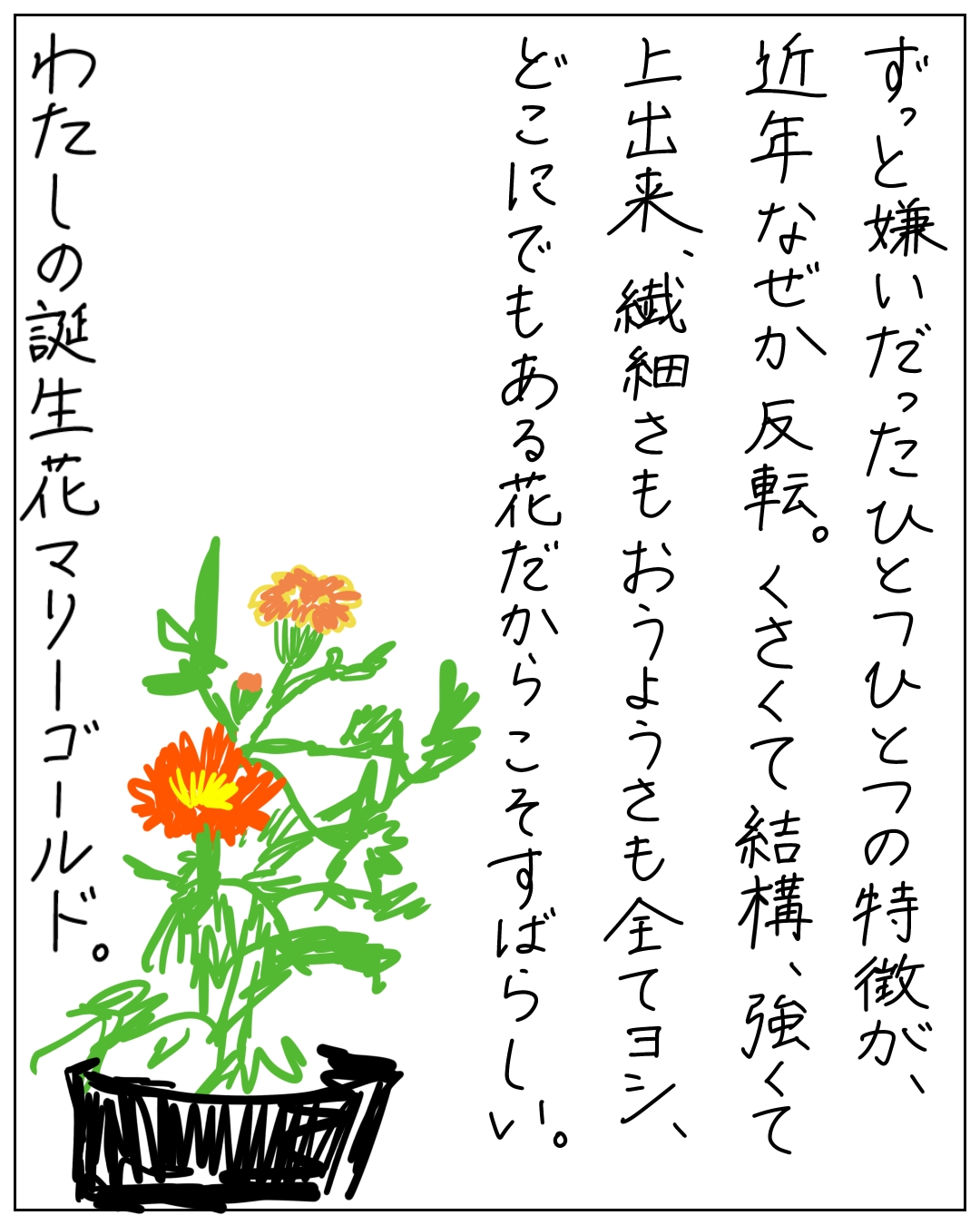 マリーゴールドの鉢植えのイラスト。「ずっと嫌いだったひとつひとつの特徴が、近年なぜか反転。くさくて結構強くて上出来、繊細さもおうようさも全てヨシ、どこにでもある花だからこそすばらしい。わたしの誕生花マリーゴールド。